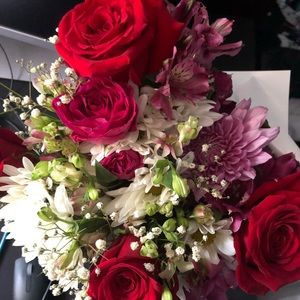 Meet your Posher, Rose